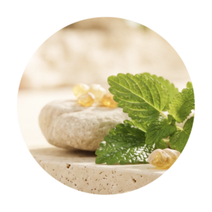 Beauty Bliss Meditation Frieden
