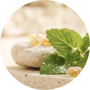 Beauty Bliss Meditation Frieden